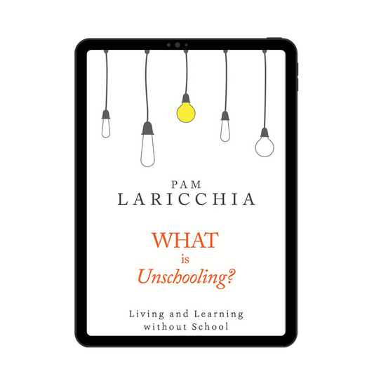 What is Unschooling? (EBOOK)