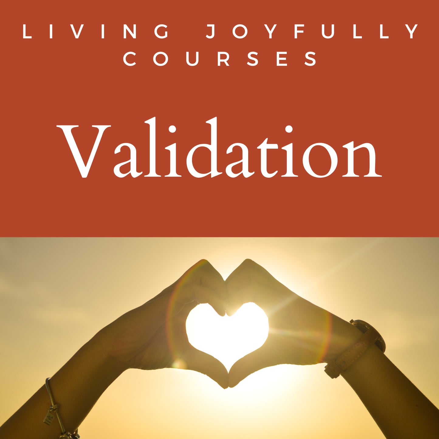 Validation Course